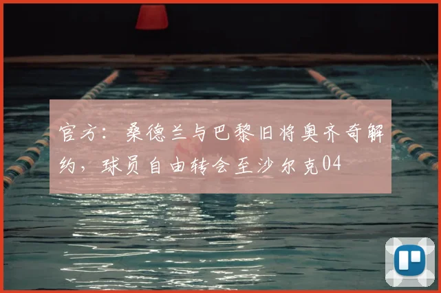 官方：桑德兰与巴黎旧将奥齐奇解约，球员自由转会至沙尔克04