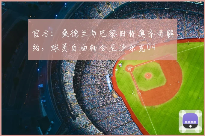 官方：桑德兰与巴黎旧将奥齐奇解约，球员自由转会至沙尔克04