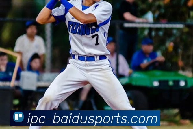 百度体育服务体系